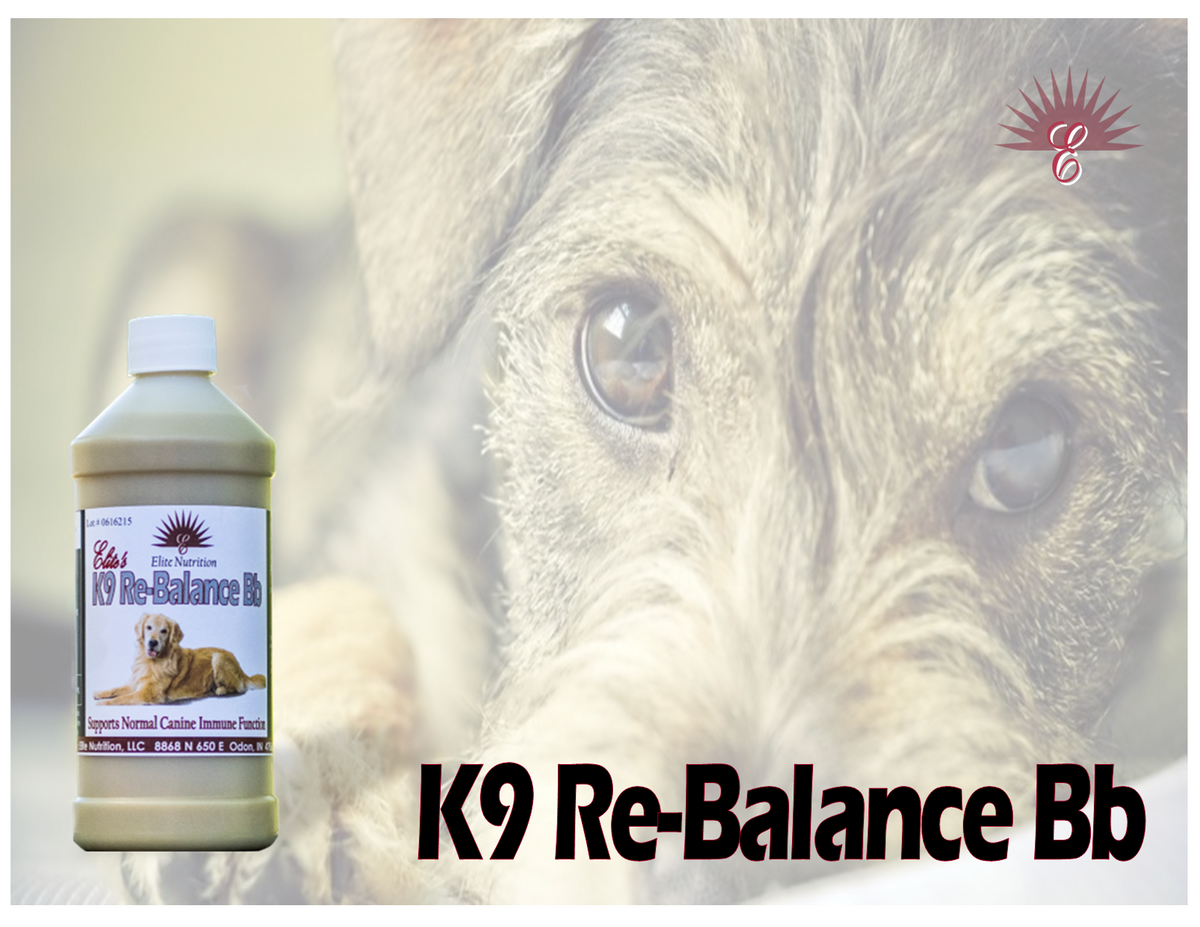 Elite k9 nutrition hot sale
