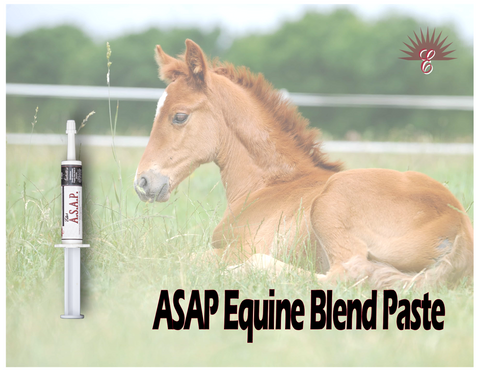 A.S.A.P.  Equine-Immune Boost with Antibodies for New Foals and support