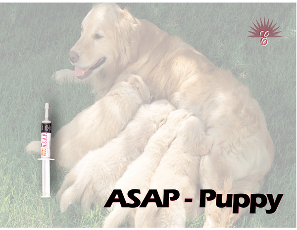 A.S.A.P. PUPPY  -Immune Boost with Antibodies for New Puppies