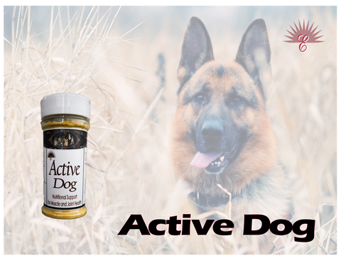 ACTIVE DOG - Joint & Muscle Support  with MSM and Glucosamine Chondroitin