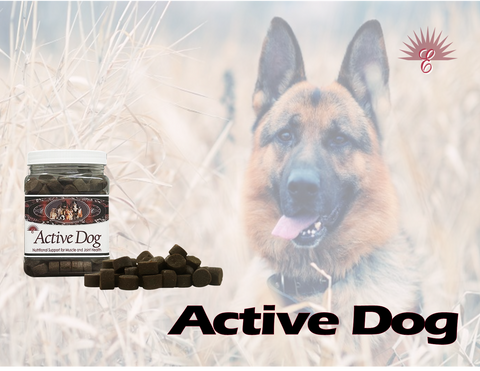 ACTIVE DOG - Chews - Joint & Muscle Support with MSM and Glucosamine Chondroitin