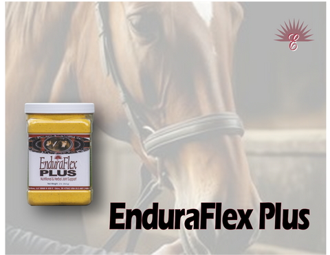 ENDURAFLEX PLUS -Equine