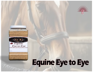 Equine EYE TO EYE -Support Equine Eye & Vision Health