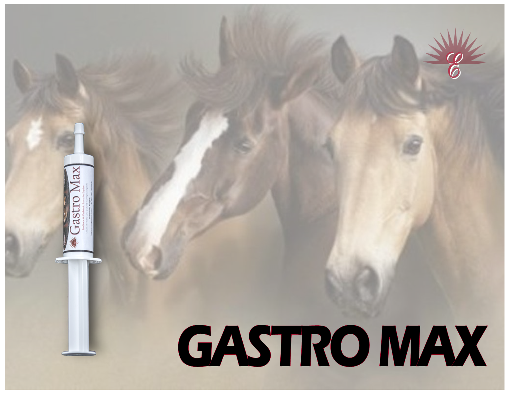 GASTRO MAX - Equine Gut Calming Support