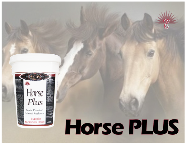 HORSE PLUS - Equine Most Complete Daily Nutritional Supplement Blend