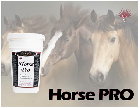 HORSE PRO -Equine Daily Feed Supplement & Muscle Building Pellet