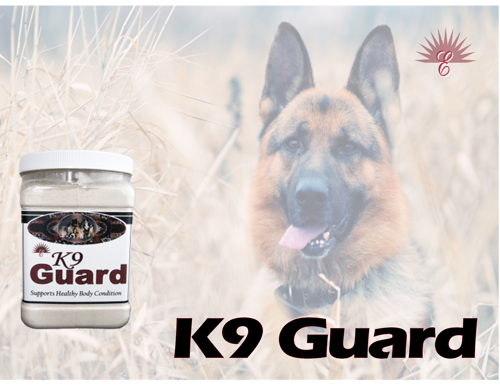 K-9 Guard Aid recovery following illness. May help remove toxins.