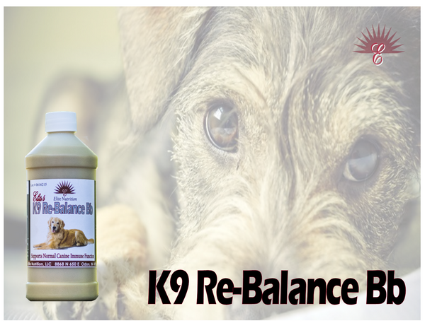 K9 Re-Balance Bb -Infection fighter and recovery
