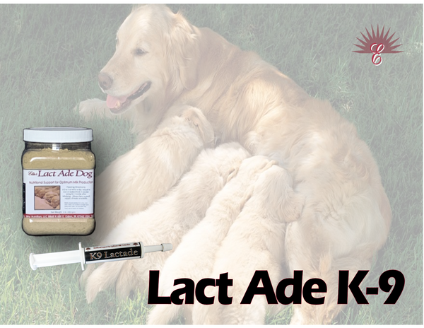 LACT ADE DOG -Canine Lactation Support Blend of Herbs & Nutrients