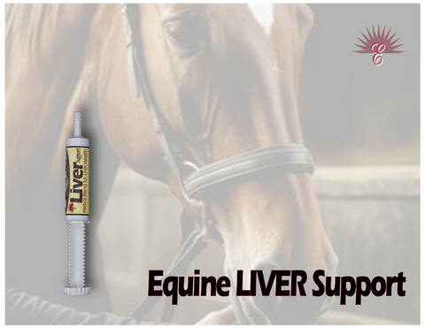 Equine LIVER SUPPORT - Equine Liver Health Support