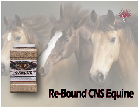 RE-BOUND CNS -Equine Central Nervous System Support