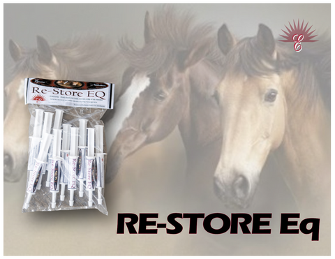 RE-STORE Eq - Equine Immune System Reset & Boost Treatment