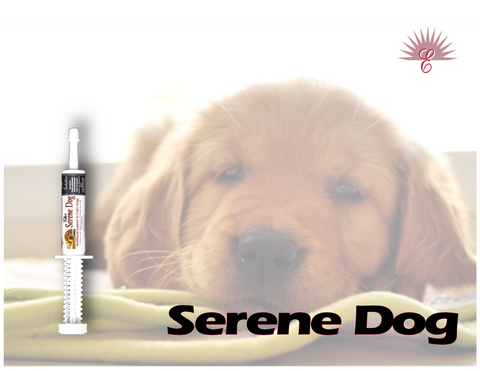 SERENE DOG -Canine Paste Blend to Aid in Calming Gut and Nervous Dog