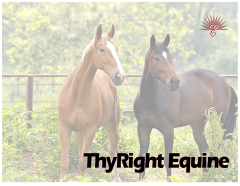ThyRight - Equine Thyroid and Metabolic support
