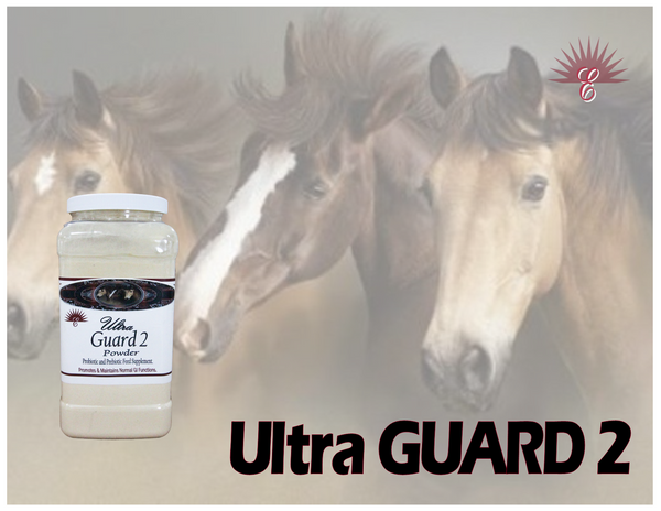 ULTRA GUARD 2 -Livestock Powder Immune System Aid with MOS Yeast