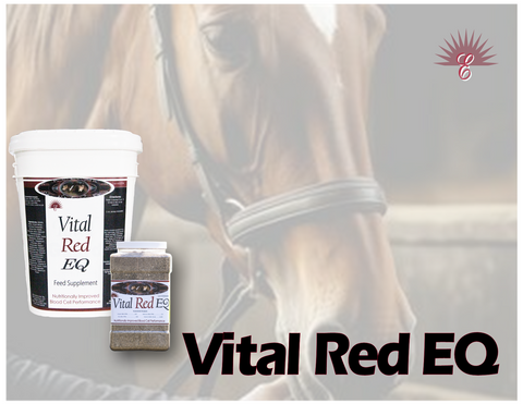 Vital Red EQ - Improve Energy and Endurance While Building Healthy Red Blood Cells