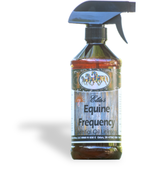 Equine-Essential Oil Liniments